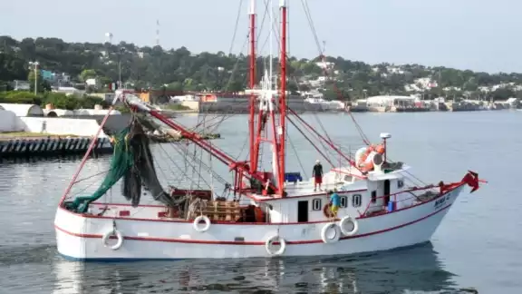 En la entidad se cuenta con 135 embarcaciones camaroneras, de las cuales 115 pertenecen a Campeche y 20 al municipio de Carmen