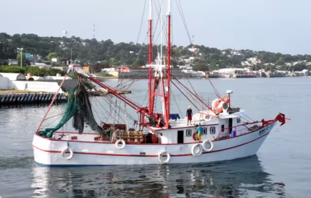 En la entidad se cuenta con 135 embarcaciones camaroneras, de las cuales 115 pertenecen a Campeche y 20 al municipio de Carmen