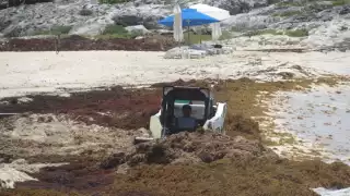 La Zofemat dice que es más fácil dejarlo en una duana en la playa que llevarlo al predio asignado pues resulta más económico no trasladarlo