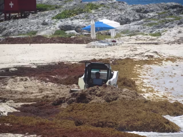 La Zofemat dice que es más fácil dejarlo en una duana en la playa que llevarlo al predio asignado pues resulta más económico no trasladarlo