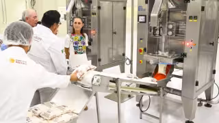 Planta Pasteurizadora de Campeche beneficiará a 800 productores de forma inicial