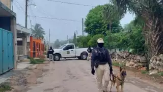 En el operativo participaron elementos de la FGE Yucatán