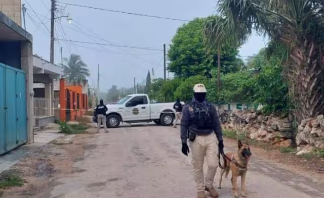 En el operativo participaron elementos de la FGE Yucatán