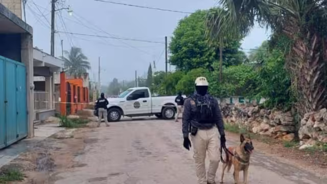 En el operativo participaron elementos de la FGE Yucatán