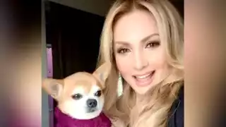 Foto: Twitter Paty Navidad