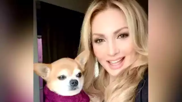 Foto: Twitter Paty Navidad