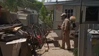 La única forma de evitar el insecto es fumigar patios y espacios donde haya cosas acumuladas o con recipientes con agua