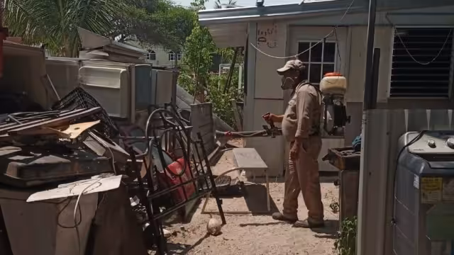 La única forma de evitar el insecto es fumigar patios y espacios donde haya cosas acumuladas o con recipientes con agua