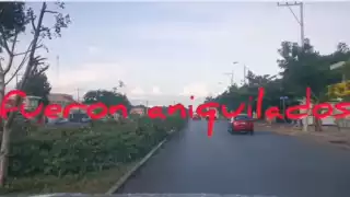 Son varias calles por las que se pueden ver cientos de árboles talados