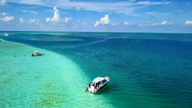 A partir de que se recibió el reporte, se iniciaron los patrullajes en la zona del reporte por parte del personal de la Secretaría de Marina