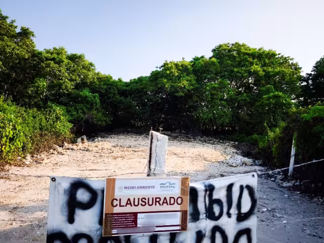 La Profepa actuó de inmediato ante las denuncias ciudadanas.