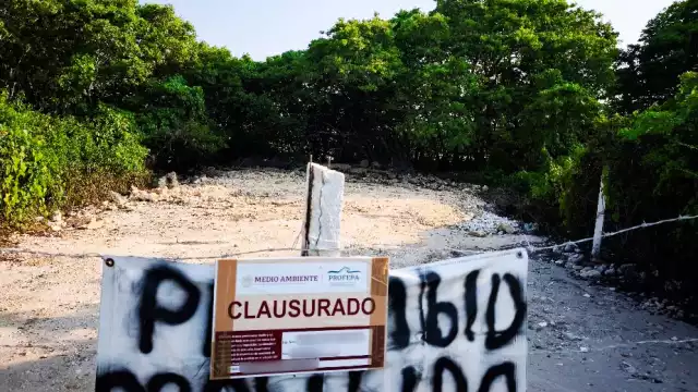 La Profepa actuó de inmediato ante las denuncias ciudadanas.