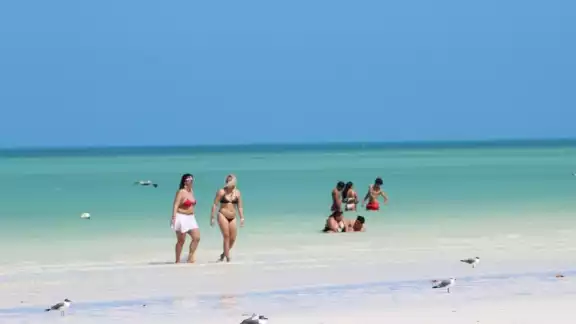 El poco sargazo que llega es usado para evitar la erosión de las playas en Holbox El poco sargazo que llega es usado para evitar la erosión de las playas en Holbox