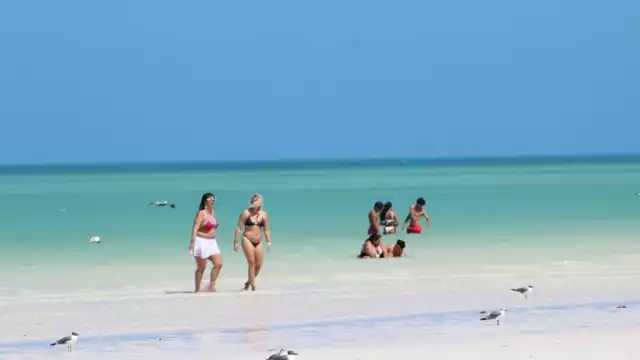 El poco sargazo que llega es usado para evitar la erosión de las playas en Holbox