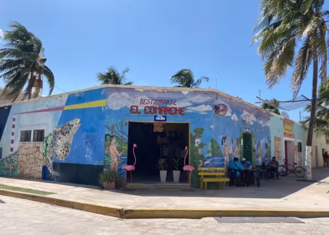 Este es uno de los comercios que están viéndose afectados por el nombramiento de Sisal como pueblo Mágico