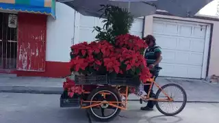 Foto: Irene Barradas