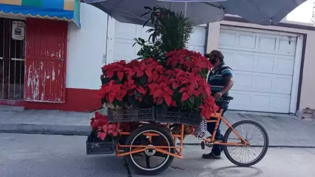 Foto: Irene Barradas