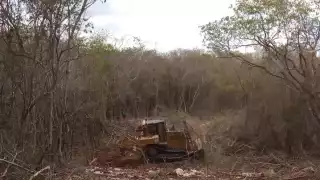 Funcionarios ambientalistas advierten que es urgente el detener las actividades destructivas que afectan al medio ambiente, y dejar de usar pesticidas