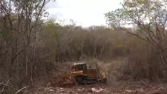 Funcionarios ambientalistas advierten que es urgente el detener las actividades destructivas que afectan al medio ambiente, y dejar de usar pesticidas Funcionarios ambientalistas advierten que es urgente el detener las actividades destructivas que afectan al medio ambiente, y dejar de usar pesticidas