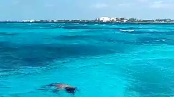 El cadáver fue rescatado en Playa Lancheros en la Isla