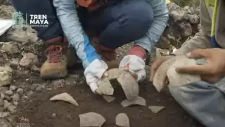Se encontraron dos altares con un monolito con la forma de un caparazón de tortuga y también una cabeza trabajada en roca