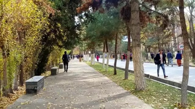 Al parecer se trató de un asalto a la universidad. Foto: Internet
