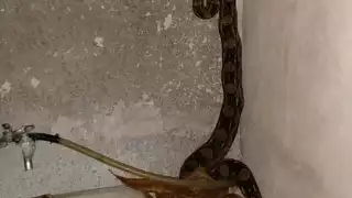 Foto: Julio Jiménez Mendoza