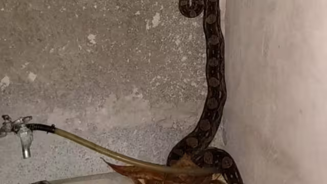 Foto: Julio Jiménez Mendoza