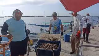 Pescadores del Oriente de Yucatán reportan exitoso arranque de la captura de langosta