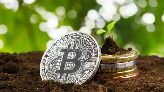 De villano a héroe ambiental: La metamorfosis energética del Bitcoin