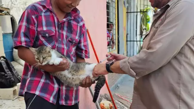 Jornada antirrábica en Campeche: protegen a perros y gatos en municipios y comunidades rurales