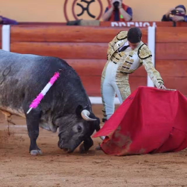 Activistas en favor de los animales quieren que los Torneos de Lazo se dejen de celebrar en Mérida y evitar el maltrato a los toros