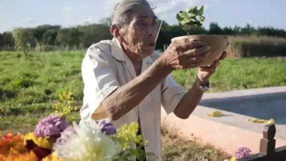 En la cultura local, el elixir se utiliza como ofrenda durante las fases de la milpa; desde la medición del terreno, la tumba, la quema, la siembra y la cosecha En la cultura local, el elixir se utiliza como ofrenda durante las fases de la milpa; desde la medición del terreno, la tumba, la quema, la siembra y la cosecha
