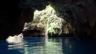 Su belleza deslumbra