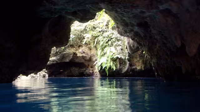 Su belleza deslumbra