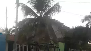 Al lugar llegaron elementos de la Policía Quintana Roo para confirmar el dato