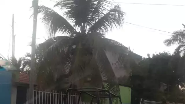 Al lugar llegaron elementos de la Policía Quintana Roo para confirmar el dato