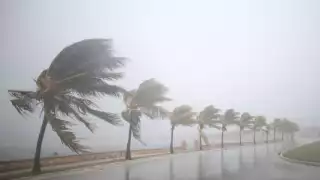 Orlene se encuentra a 470 kilómetros al sur de Manzanillo, Colima y a 630 kilómetros al sur-sureste de Cabo Corrientes, Jalisco