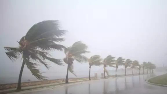 Orlene se encuentra a 470 kilómetros al sur de Manzanillo, Colima y a 630 kilómetros al sur-sureste de Cabo Corrientes, Jalisco Orlene se encuentra a 470 kilómetros al sur de Manzanillo, Colima y a 630 kilómetros al sur-sureste de Cabo Corrientes, Jalisco
