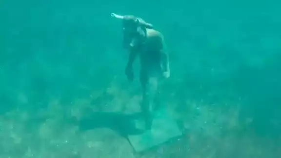 El minotauro fue visto a unos seis metros de la costa y a cuatro de la superficie El minotauro fue visto a unos seis metros de la costa y a cuatro de la superficie