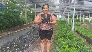 Al año, el gobierno federal distribuye más de mil 500 millones de pesos al año en Campeche