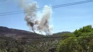 El incendio se dio en medio de toda la vegetación