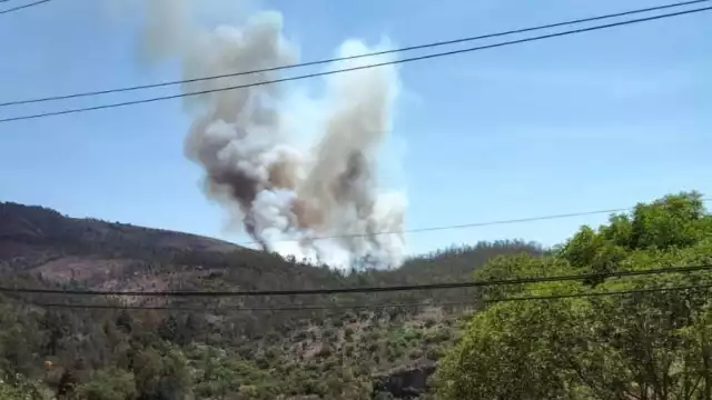 El incendio se dio en medio de toda la vegetación
