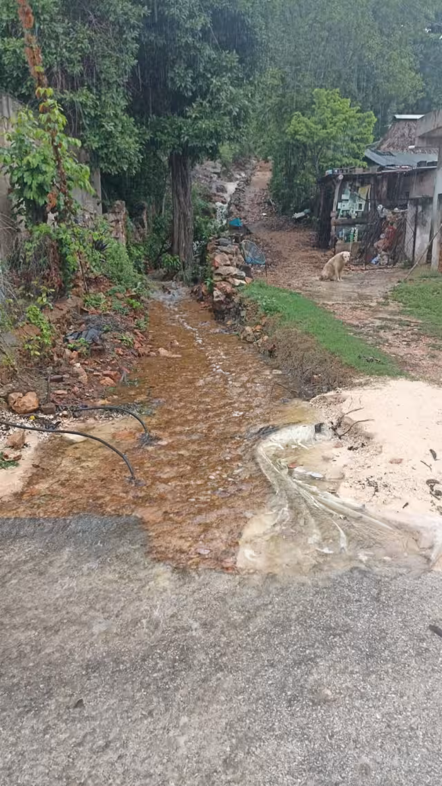 Protección Civil arribó al área para verificar la situación