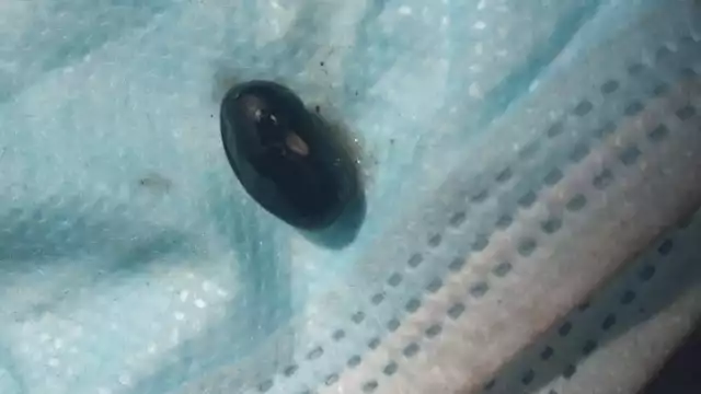 El padre de familia llevó al niño a la base de la corporación, ubicada en la colonia Centenario