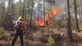  Campeche acumula más de 53 mil puntos de calor   