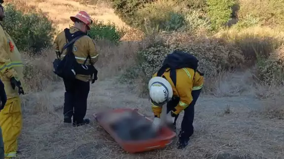 El cuerpo del migrante quedó varado a medio desierto El cuerpo del migrante quedó varado a medio desierto