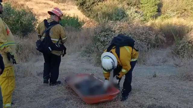El cuerpo del migrante quedó varado a medio desierto