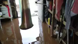 Más de 160 casas de asentamiento al Sur de Mérida se inundaron