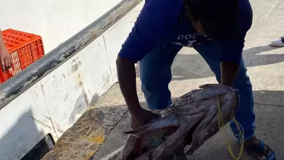 La Conmecoop pidió a las autoridades vigilar permanentemente el litoral ante la pesca ilegal La Conmecoop pidió a las autoridades vigilar permanentemente el litoral ante la pesca ilegal
